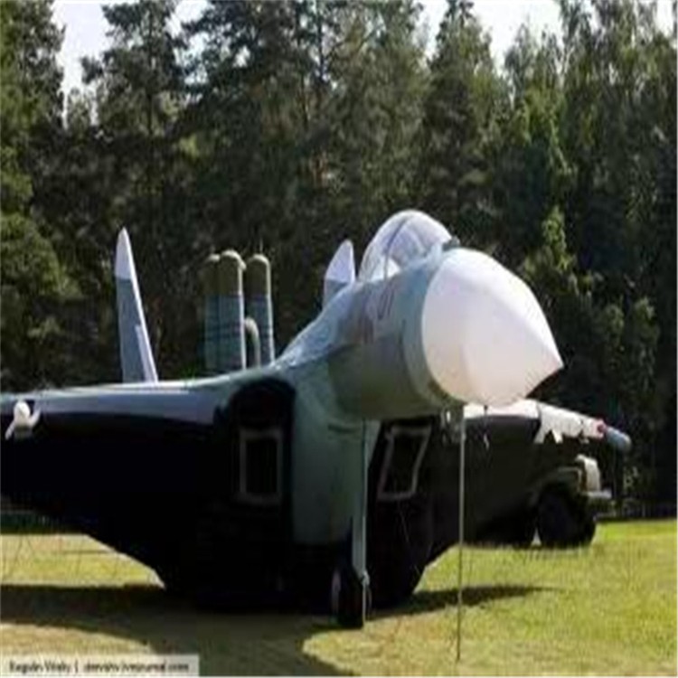 西沙充气模型飞机制造商家